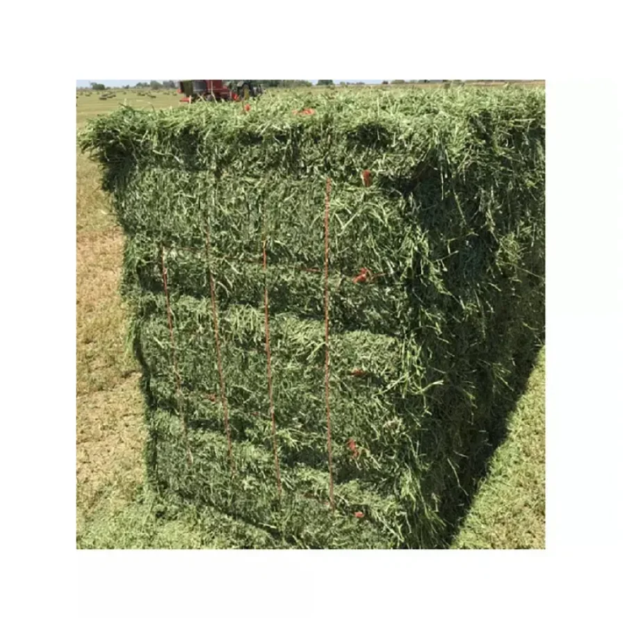 Hot Sale Animal Feed Timothy Grass Hay Bales For Sale/buy 150 Kg Bales