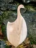 As Shown