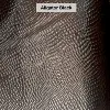 Alligator Black