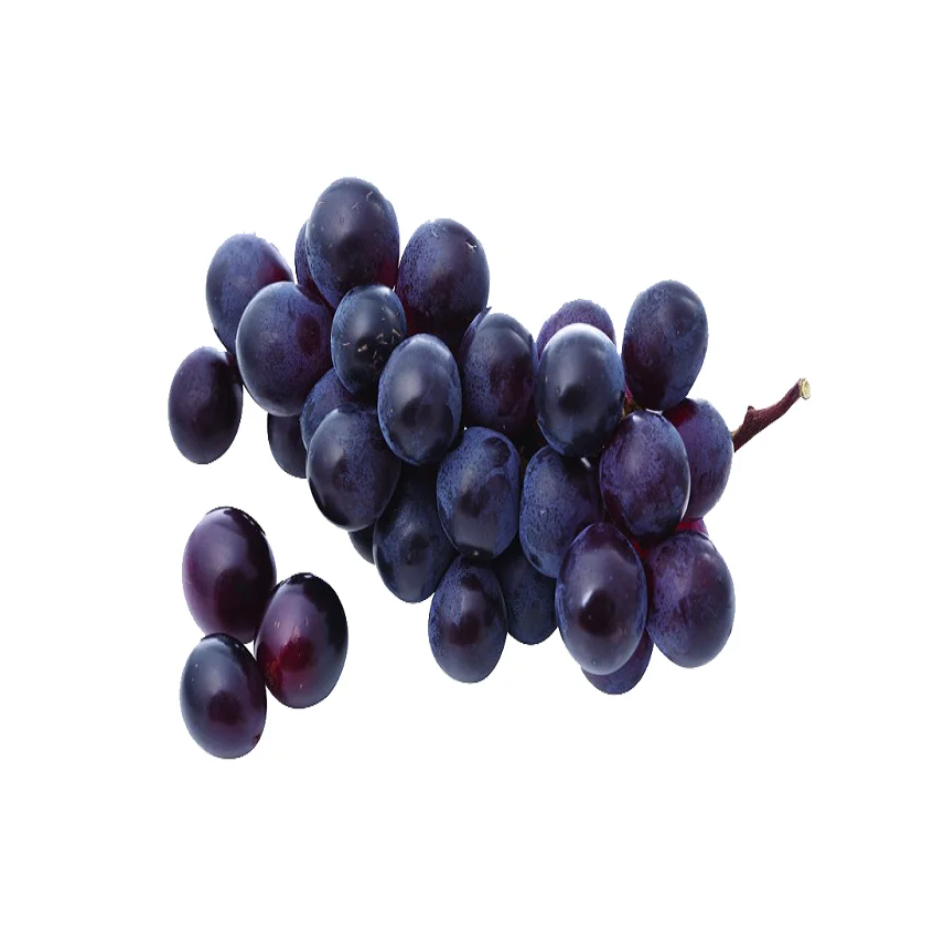 Fresh Grapes Black Grapes Fresh Grapes For Export White For Fresh Use