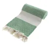 Benetton Green (7)