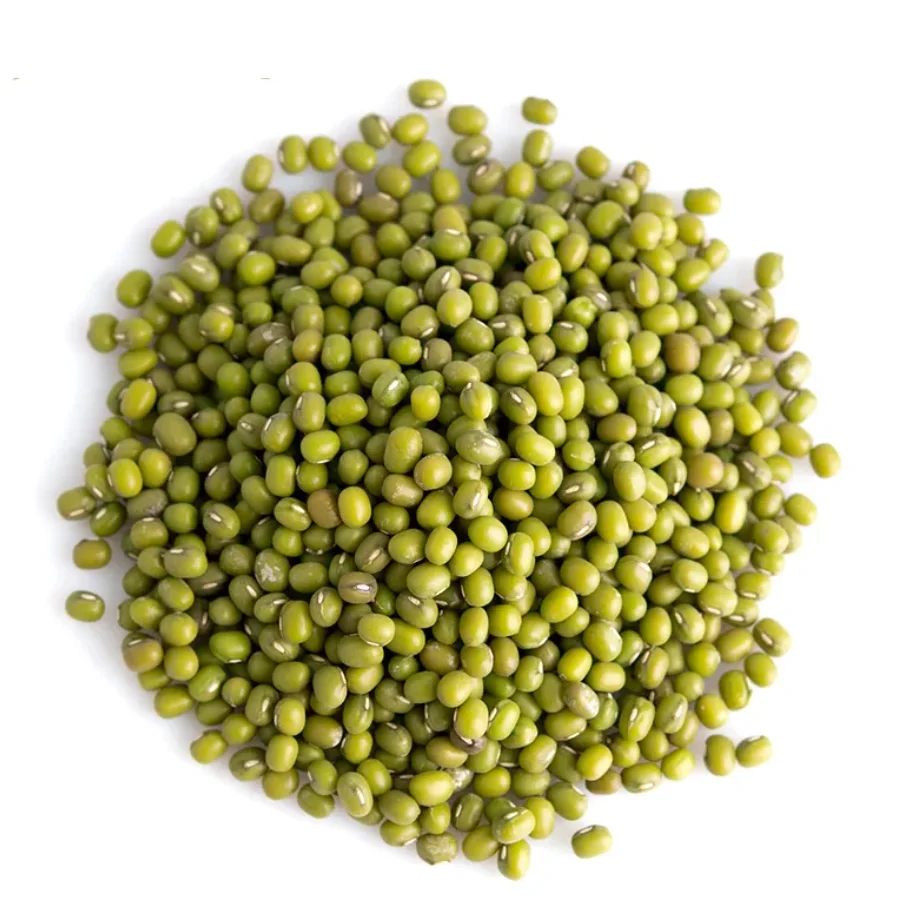 Mung Beans Good Quality Green Mung Beans Wholesale Price for export Philippines