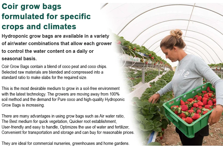 Hydroponic Grow Bags, Coir Grow Bags