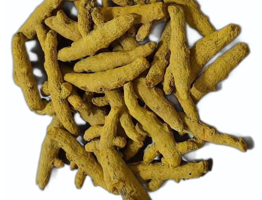 Turmeric Finger Pure With Rich Curcumin And Good Quality For Sale In
