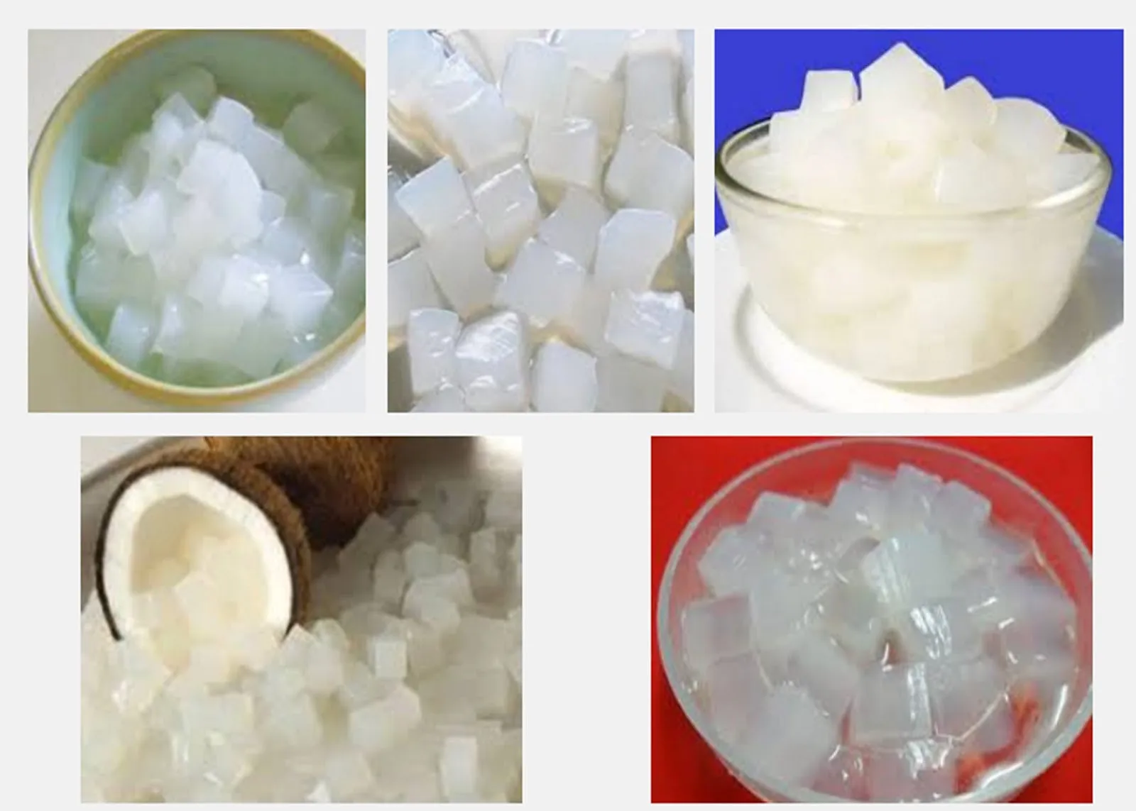 Natural 100 Fresh Vietnamese Coconut Jelly/ Nata De Coco/ High Quality