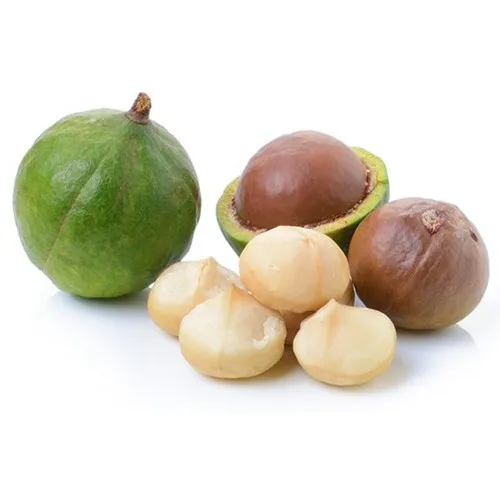 Austria a Grade Organic Macadamia Nuts Roasted and Dried White and Black 15-20kg Raw Macadamia Nut Bag Packaging for Food Use