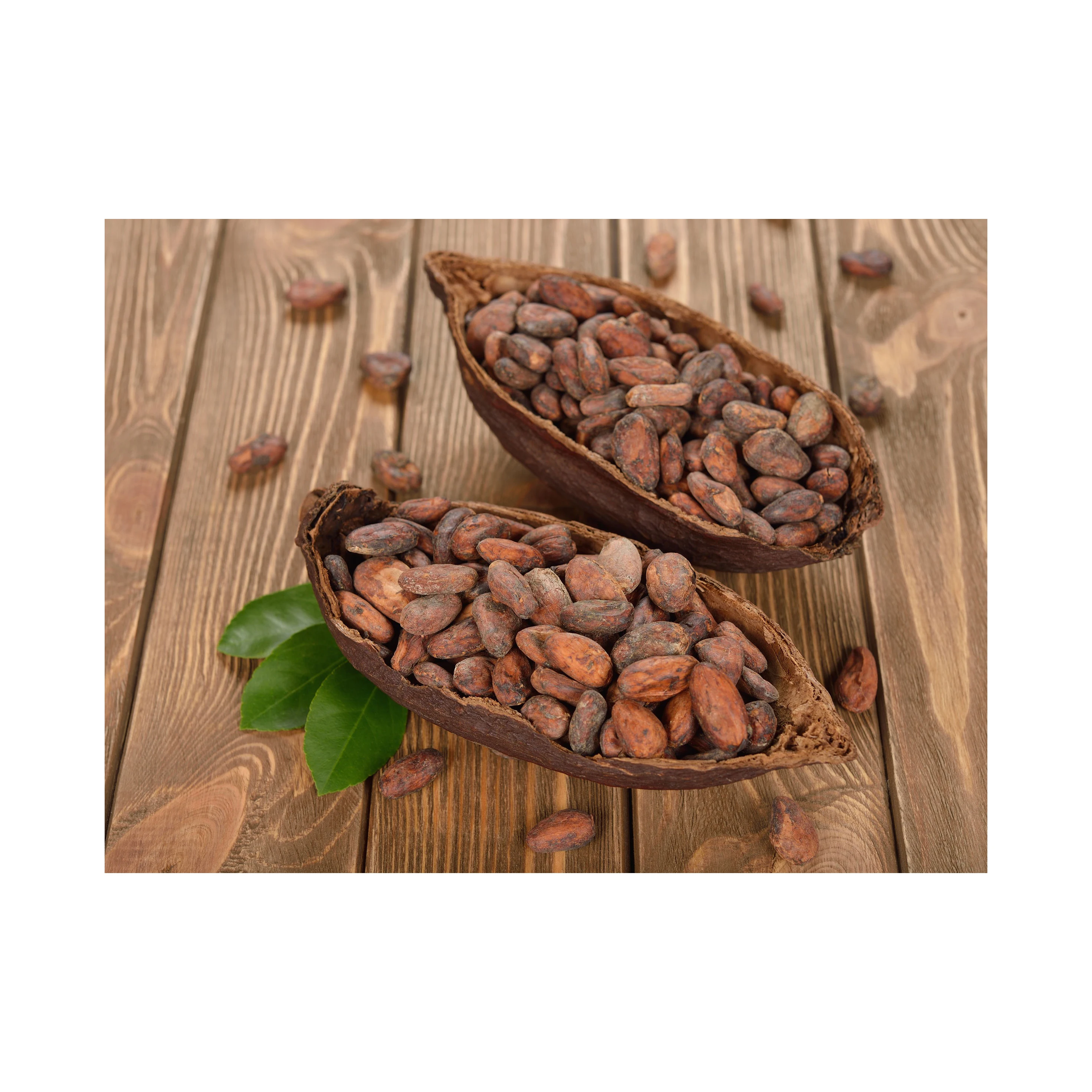 Cocoa Beans New Crop Fermented Cocoa Beans Buy Cheap Rate Wholesale Best Cocoa Beans For Sale