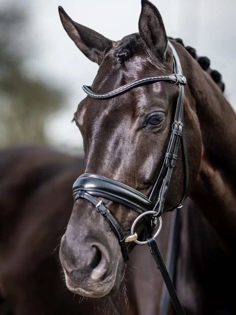 Bride De Dressage Douvres (Dover Saddlery) Rembourrée Monoconne Avec Rênes - Taille F/S (Cheval) - Comme Neuve