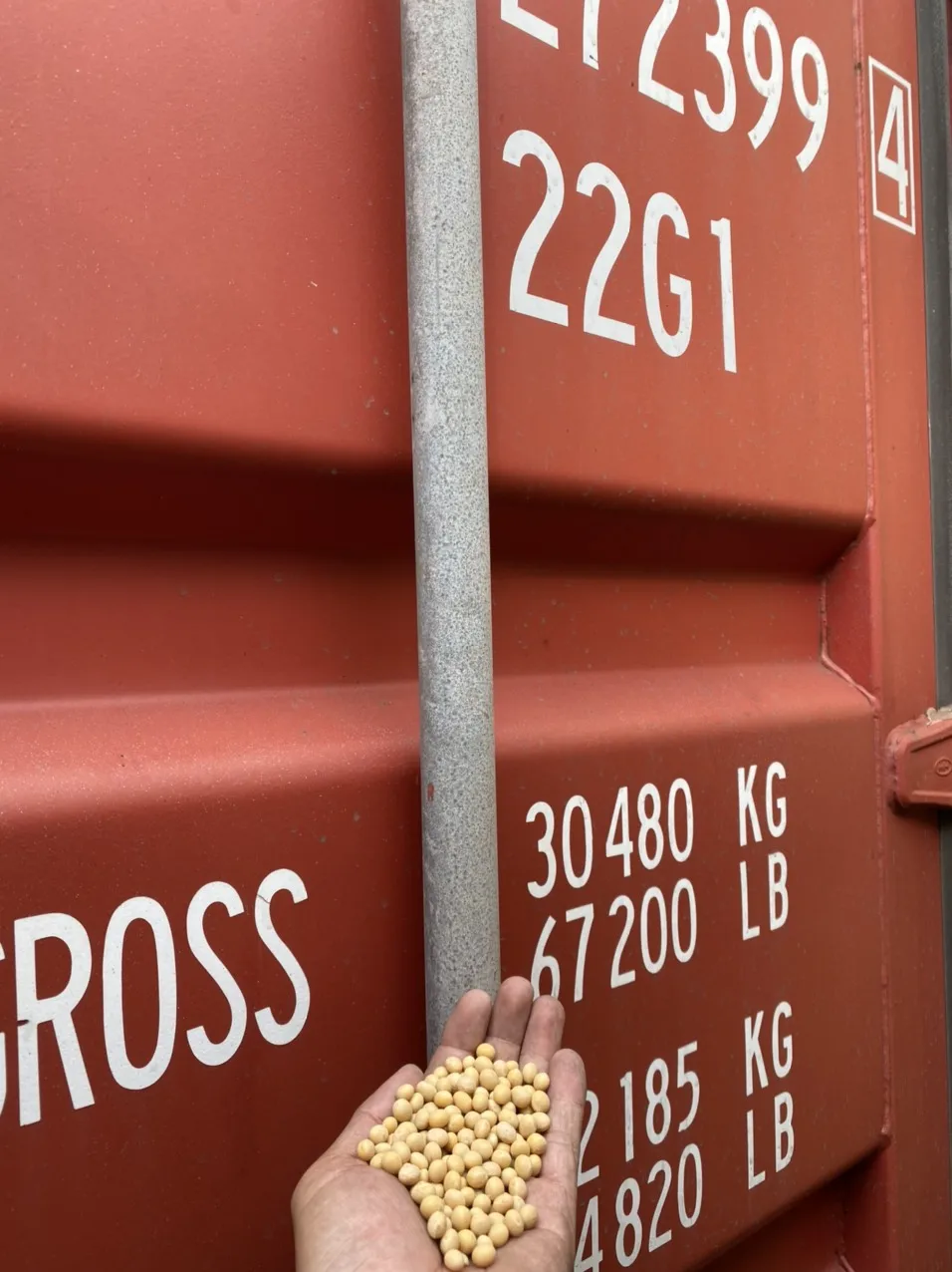 The Best Gmo Soybeans From Supplier In Viet Nam Canada With Highest