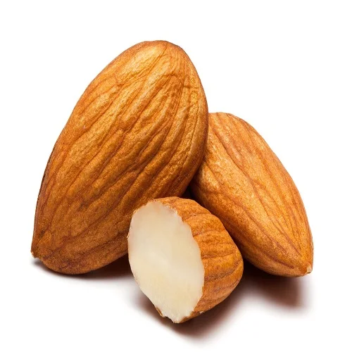 Wholesale Factory Bulk Dry Fruits Best High Quality Raw Almonds Low Price Top Grade Almond Nuts Sale