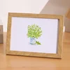 same as image