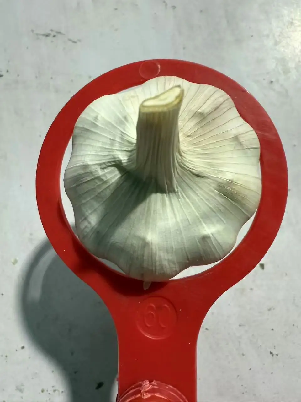 Ajo Fresh White Garlic Fresh Garlic From China Wholesale Price Wholesale Supplier Best Quality Fresh Cheap Price