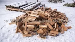 images (1).jpeg