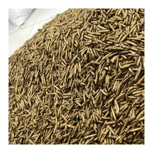 HIGH QUALITY | DRIED MEALWORMS/ BLACK SOLDIER FLY LARVAE WITH HIGH PROTEIN FROM VIET NAM