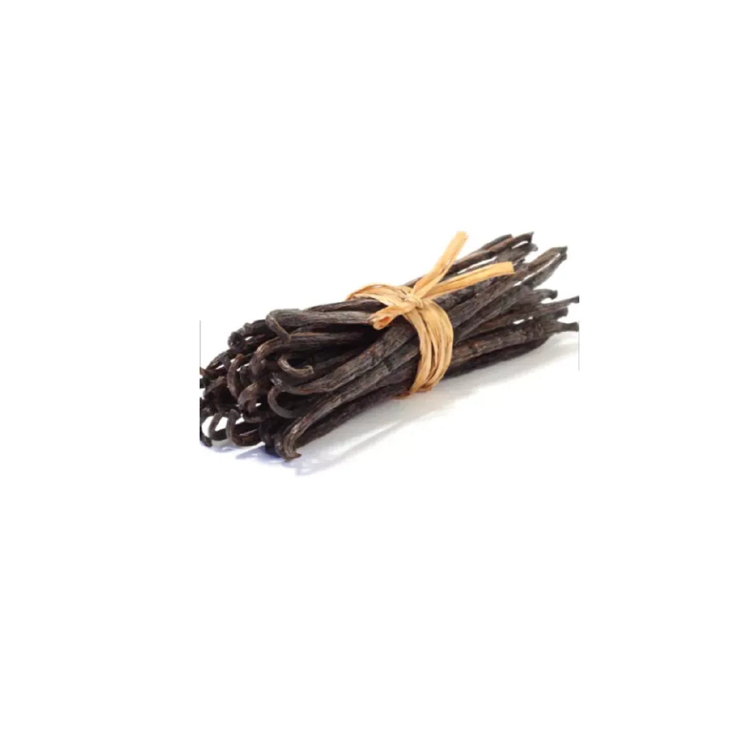 45454 (1).png