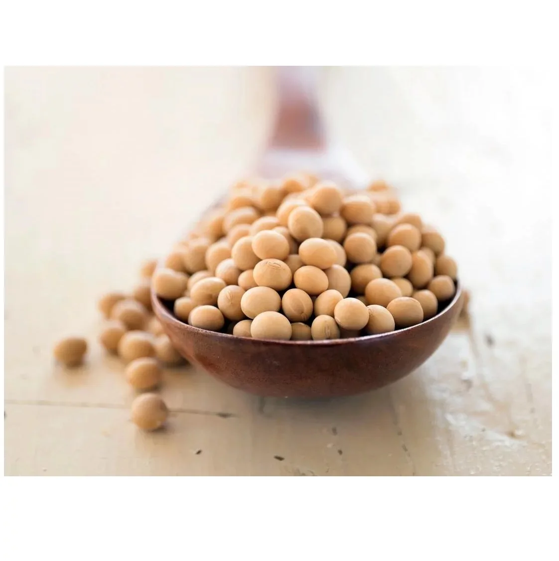 соя. семена сои. органическая соя. соя. соевые бобы.