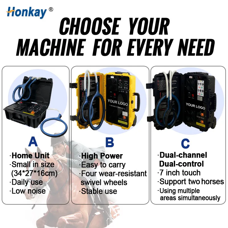 Buy Dual Control Protable PEMF Machine With PEMF Therapy Mat Online Buy Dual Control Protable PEMF Machine With PEMF Therapy Mat Online Protable PEMF Machine,PEMF Therapy Mat,pemf therapy mat cost