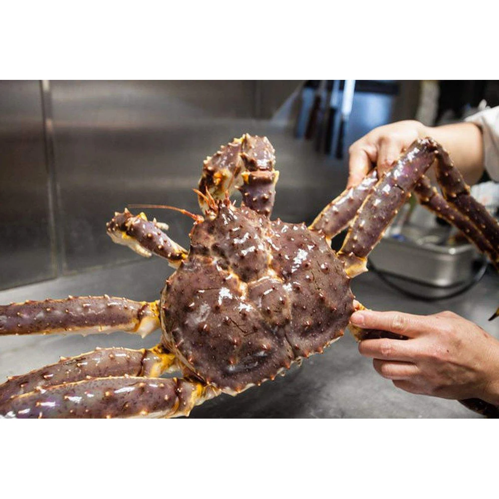 Buy King Crab Red King Crab Live And Frozen Red King Available For Sale