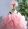 Rose bébé