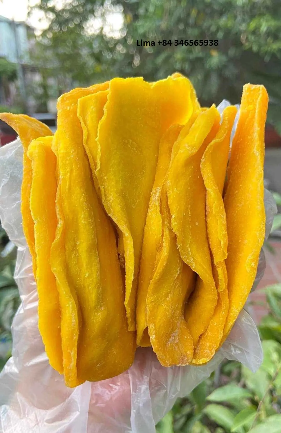 Dried Mangoes Have A Sweet Taste And Natural Aroma,Dried By Modern