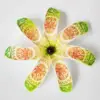 TK07 : Orange Vert