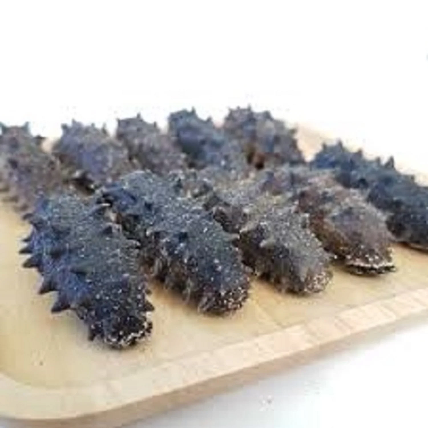 Wholesale Price Dried Sea Cucumber Buyers Worldwide Buy Dried Sea Cucumber Sea Food Cucumber