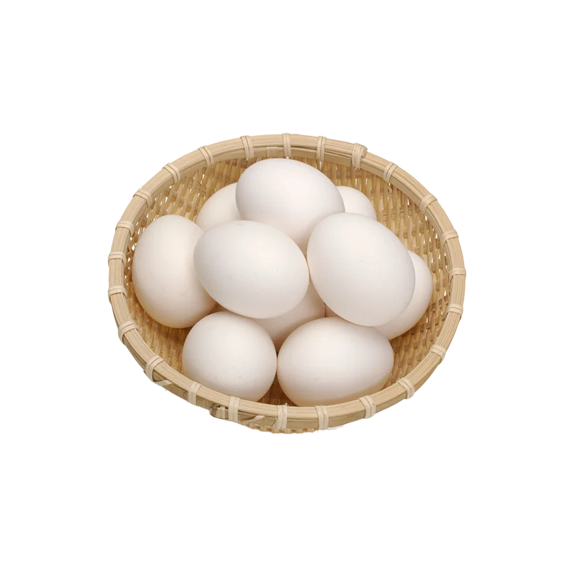 Broiler Hatching Eggs Ross 308 And Cobb 500 And Chicken Table Eggs