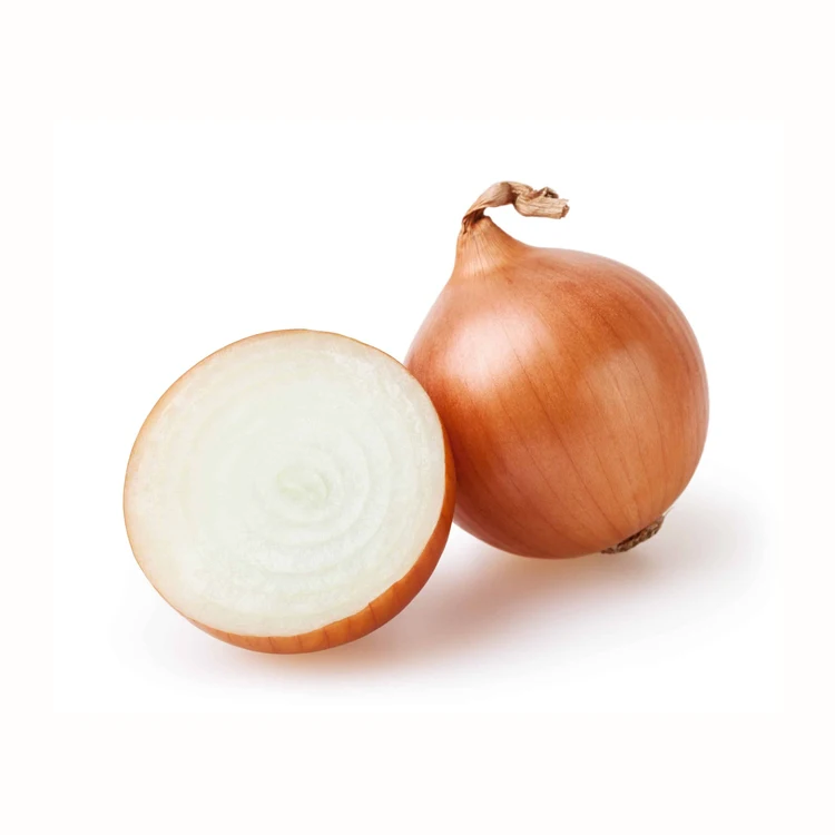 High Quality Hot Sale Fresh Yellow Onion In Bulk Buy Fresh Yellow