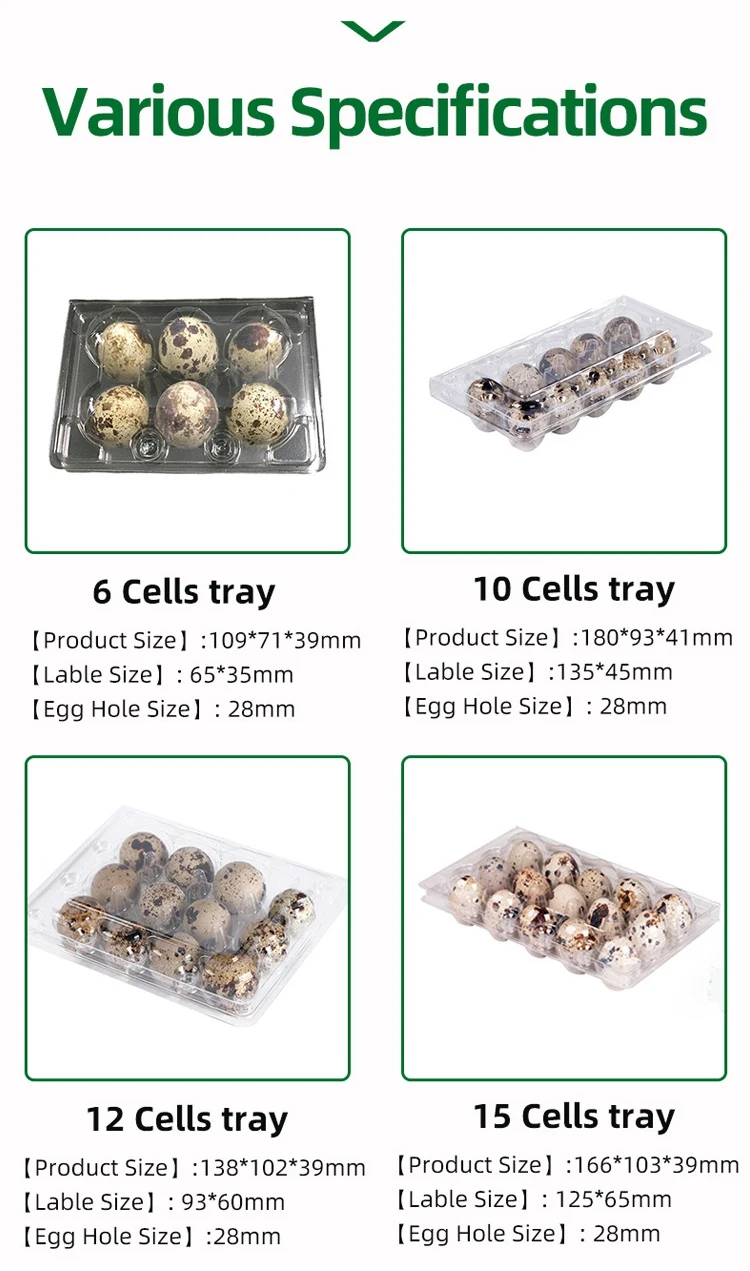 Disposable Quail Egg Trays 6/12/24/30 Cells Clear Pet Plastic Eggs