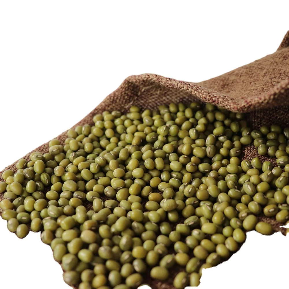 Factory Supply Green Mung Bean Latest Crop Supply Different Size Mung