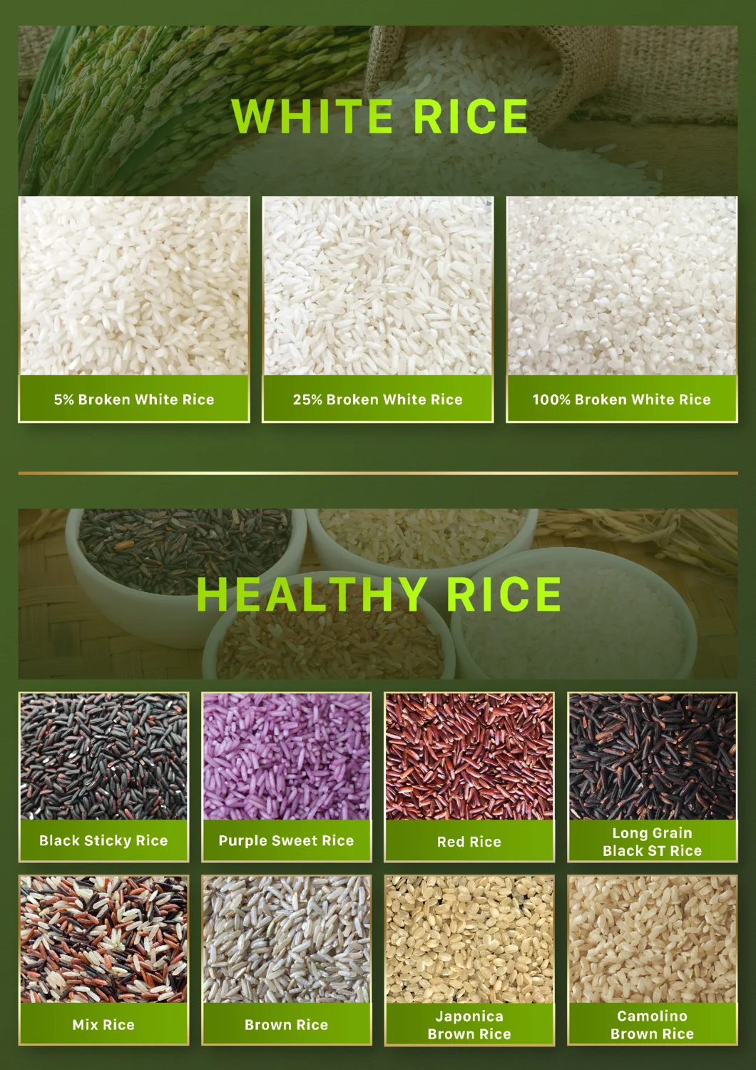 From Vietnam Wholesale Sushi Rice / Japonica Rice Best Price Exported