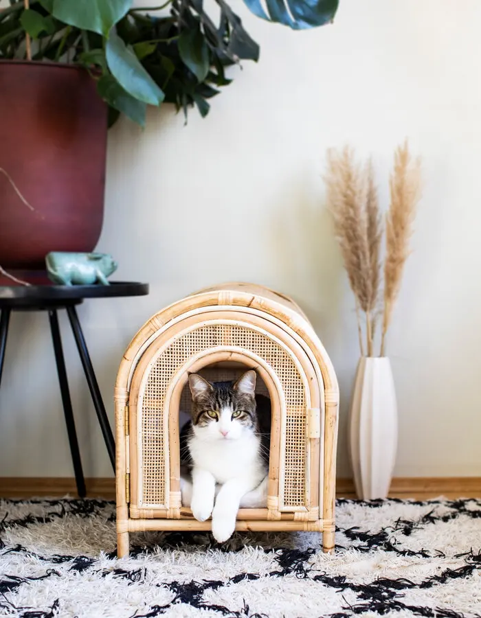 Modern Designer Rattan Dog Bed With Mattress Pillow Cheapest Rattan