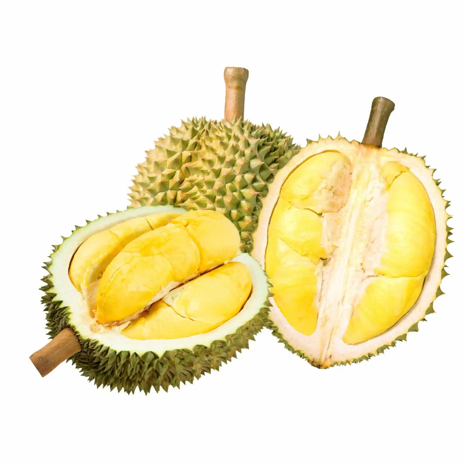 Competitive Price Frozen Durian with Seeds Ms Sophie
