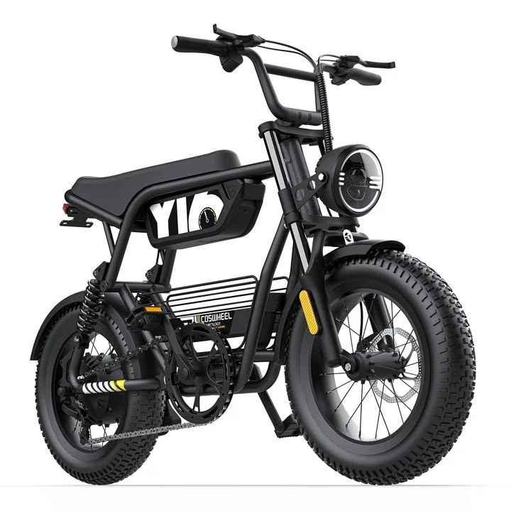 Y16 EBIKE Electric Mountain Bike