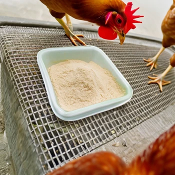Complex Amino Acid Chelated Manganese Feed Additive Is Easy To Absorb And Has High Utilization Rate Suitable For Chickens