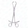 Bone Holding Forceps