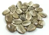 Coffee, Sold by Weight(grams), 12 to 14pcs per 100g