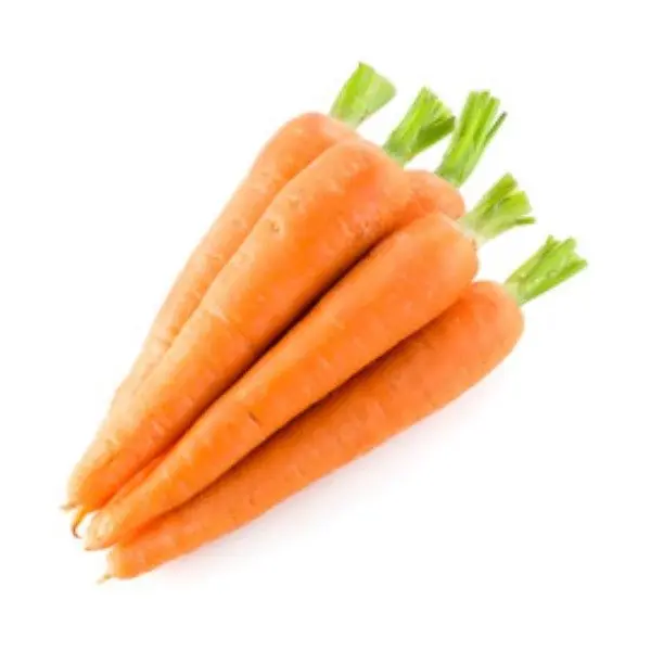 Fresh Carrot Fruit & Vegetable Products Good Price Organic Follow the Customer's Request Made in Vietnam Manufacturer