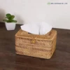 Natural Color