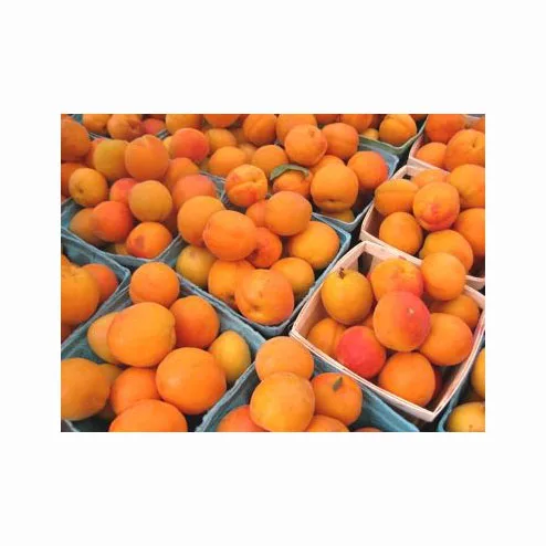 Свежие красные/желтые/без косточек арбузы для продажи, готовые к экспорту из Египта, Арбузные фрукты высокого качества, супер вкус Натуральный
