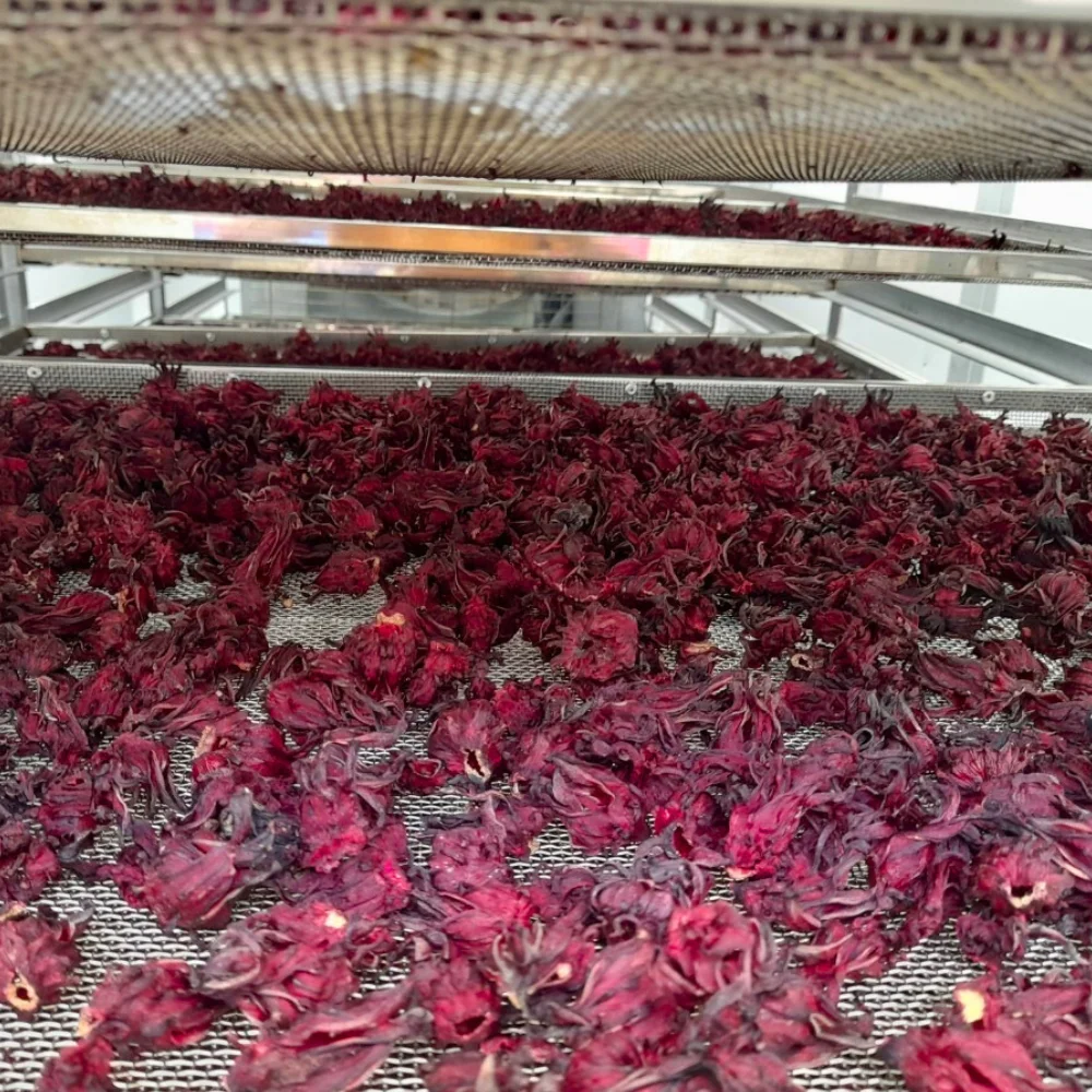 Top Quality Hibiscus Flower,Dried Hibiscus Flower Bulk Wholesale 100