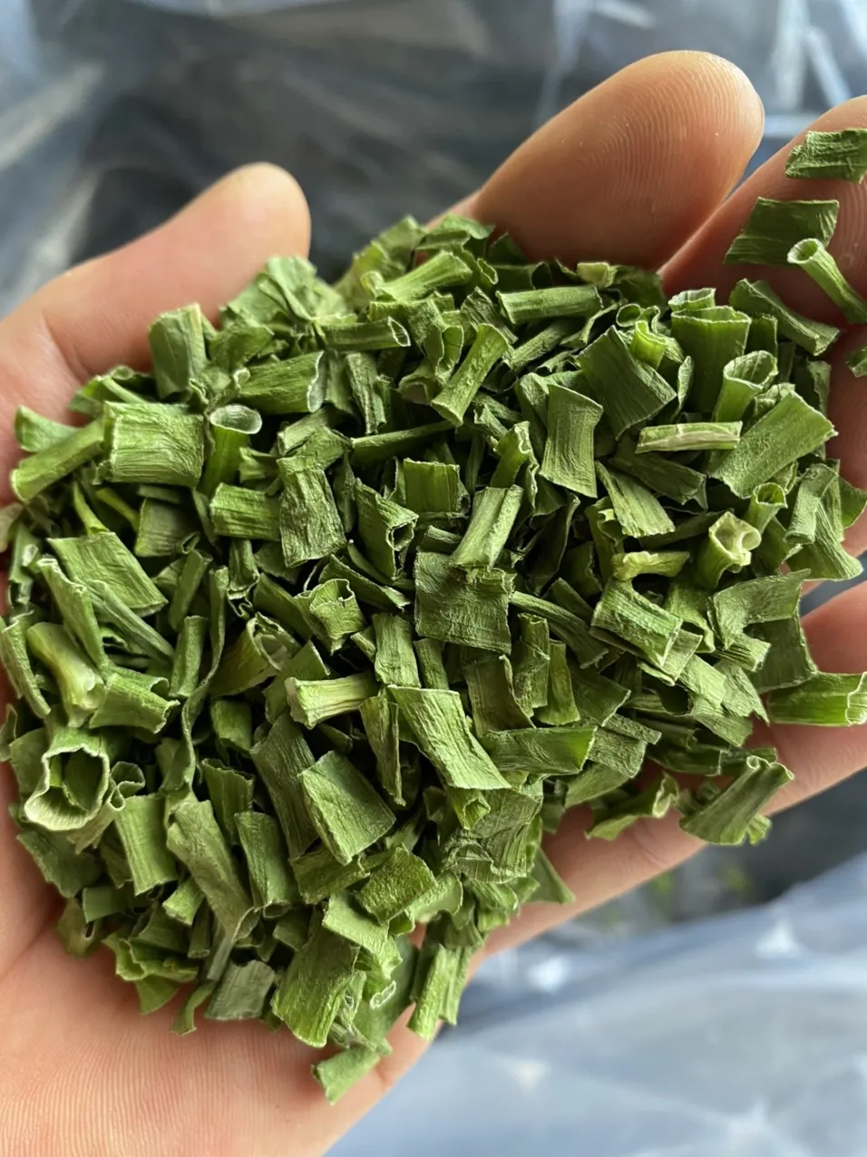 Vietnam New Crop High Quality All Green Onion Rings 5 mm Instant Noodles Ingredient Flakes air Dried Spring
