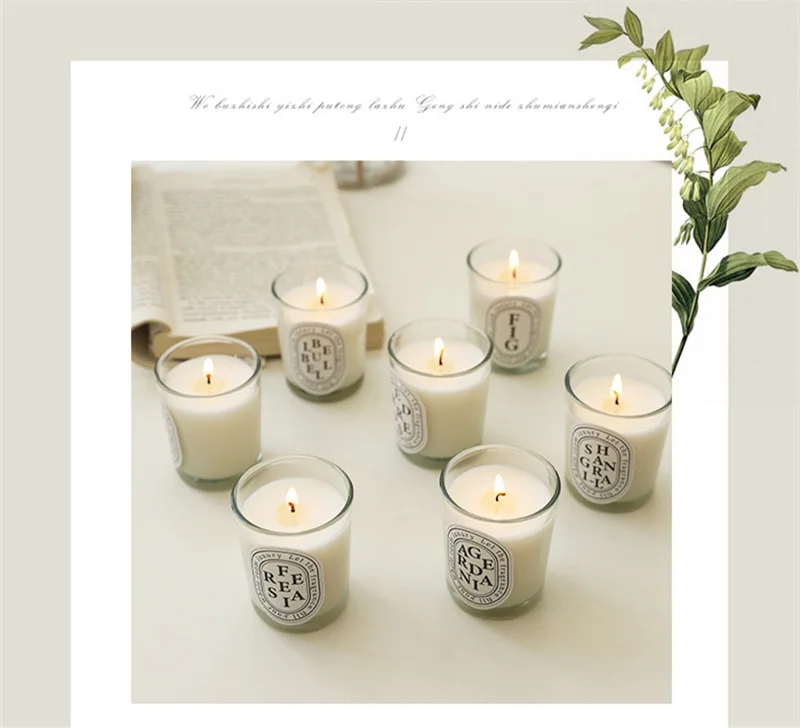 Wholesale Luxury Soybean Wax Scented Fragrant Candles Glass Cup Plant