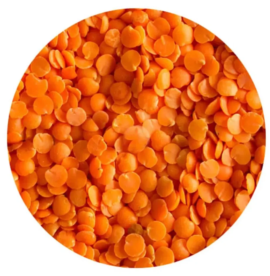 Wholesale Price Red Lentils Red Whole Lentils And Red Split Lentils
