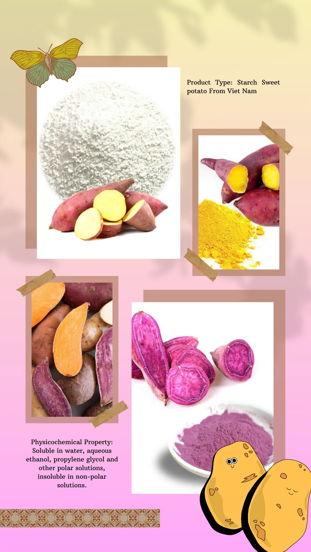 Sweet Potato Starch Organic Yellow Native Potato Starch Good Price For Export Vietnam Food 6337