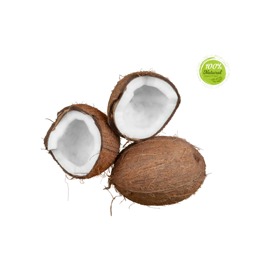 Exploring the Nutritional Value of Dried Coconut