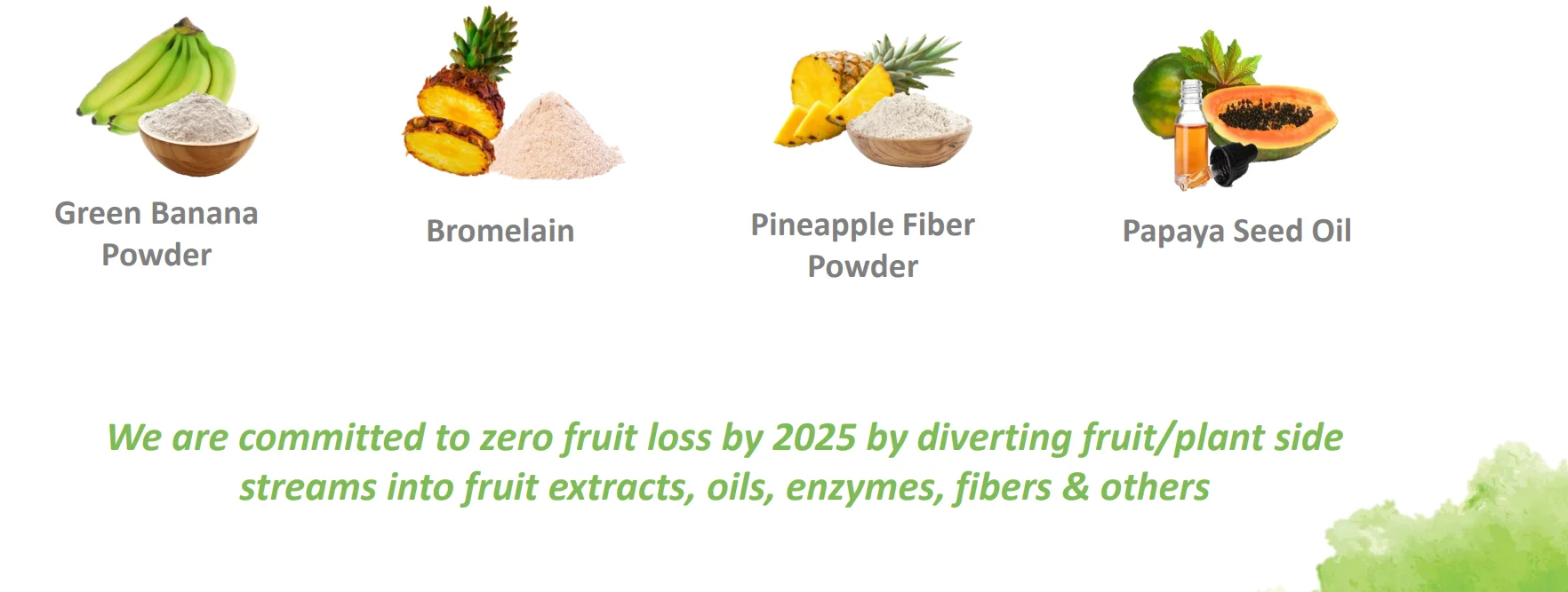 High Fiber Pineapple Dietary Fiber Powder Made From Real Pineapples