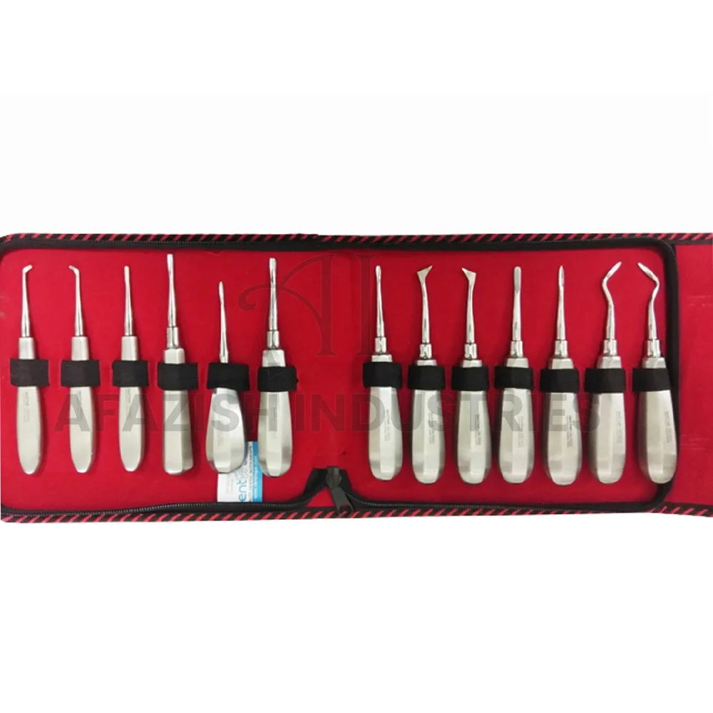 Premium Quality Dental Root Elevator Set Of 13 Pcs Stainless Steel