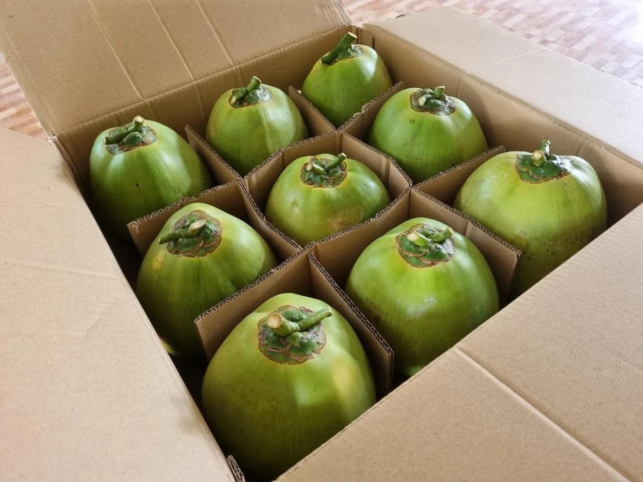 Свежий зеленый молодой кокосовый кокос высшего качества Лучшая цена кокос для оптовых продаж сделано в Бен Тре, Вьетнам