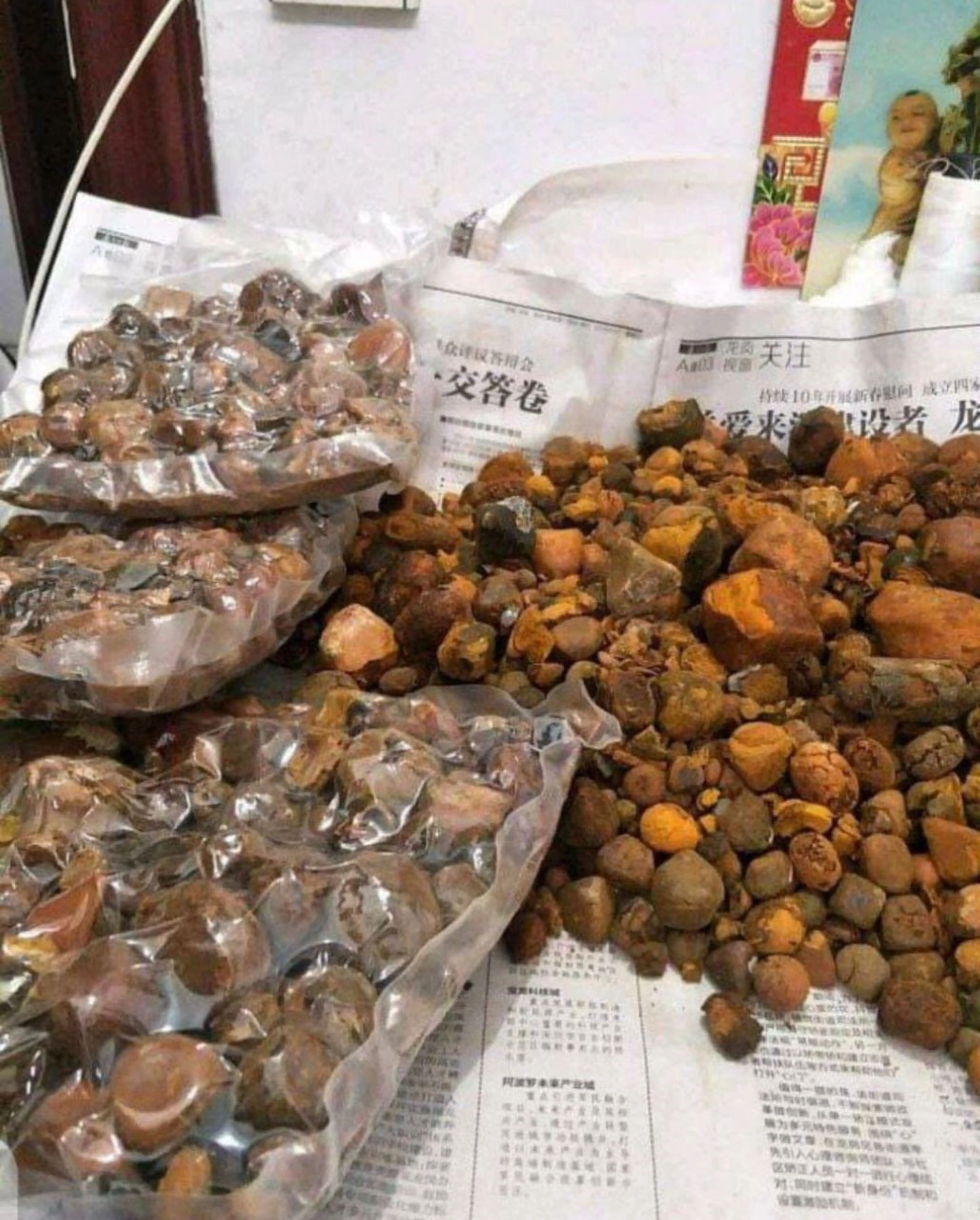 wholesale-gallstones-for-sale-buy-cow-gallstones-gallstone-cows-ox